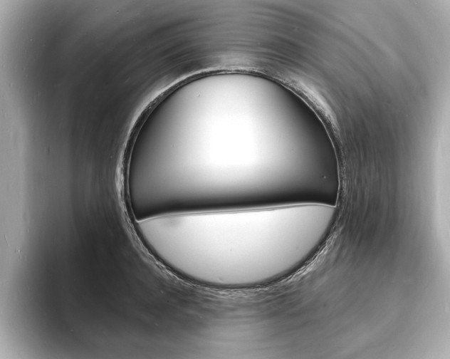 X0000093600944200710150955