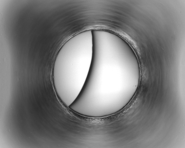X0000093600945200710150955