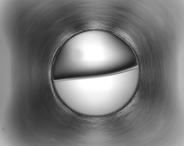 X0000093600946200710150955