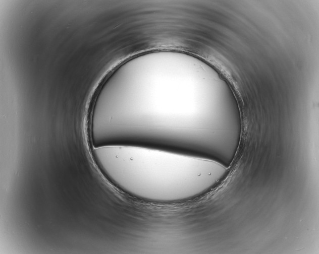 X0000093600947200710150955