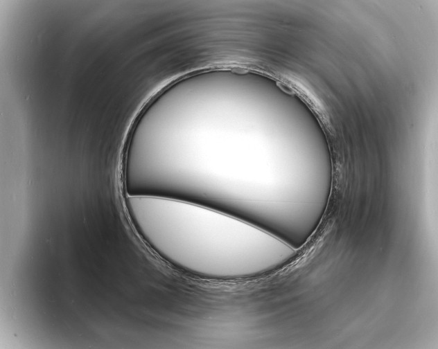 X0000093600948200710150955