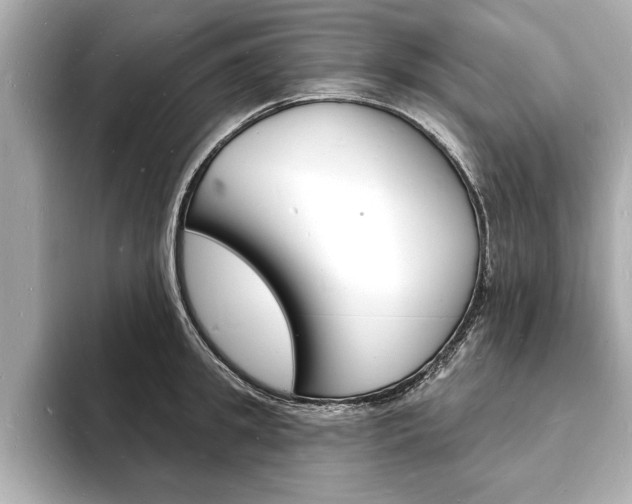 X0000093600949200710150955