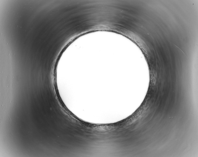 X0000093600950200710150955