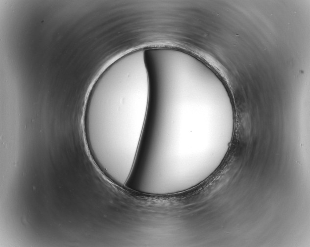 X0000093600951200710150955