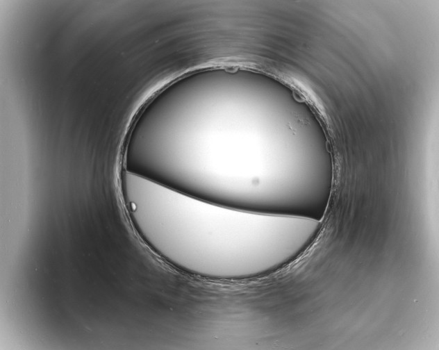 X0000093600952200710150955