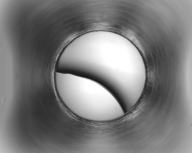 X0000093600954200710150955