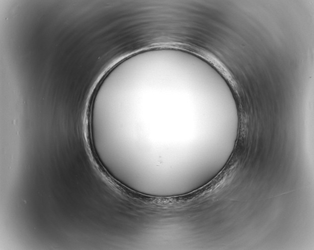 X0000093600955200710150955