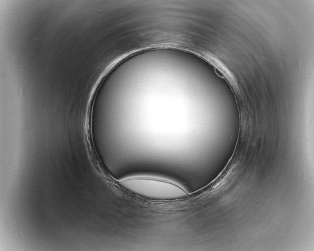 X0000093600956200710150955