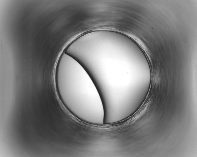 X0000093600957200710150955