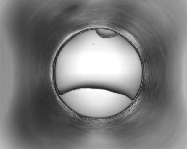 X0000093600958200710150955