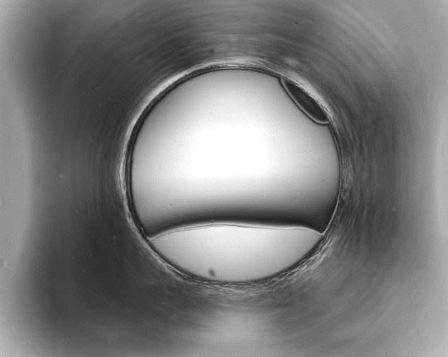 X0000093600959200710150955