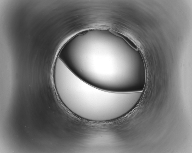 X0000093600960200710150955