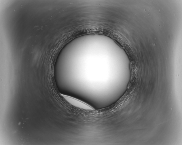 X0000093600961200710150955