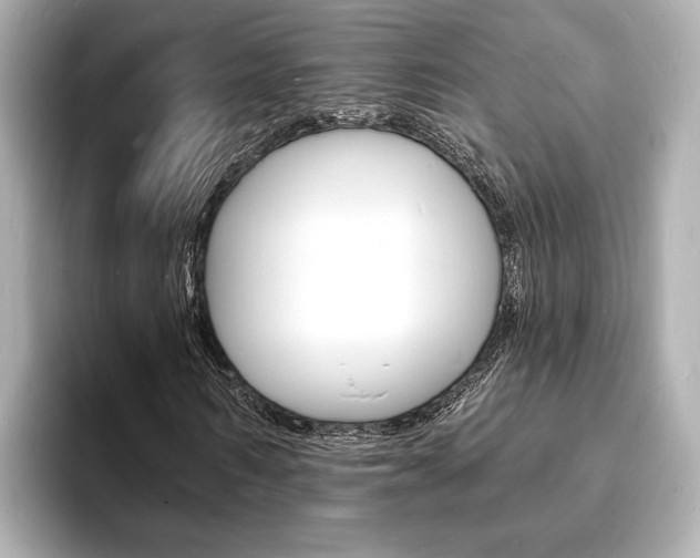 X0000093600962200710150955