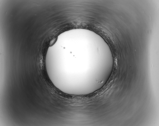 X0000093600963200710150955