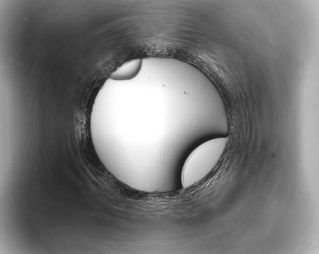 X0000093600964200710150955