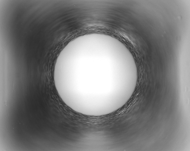 X0000093600965200710150955