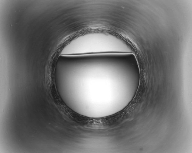 X0000093600968200710150955