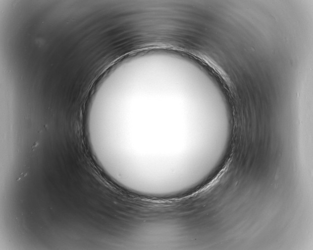 X0000093600969200710150955