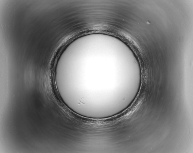 X0000093600970200710150955