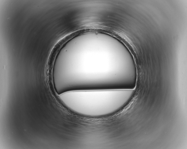 X0000093600971200710150955