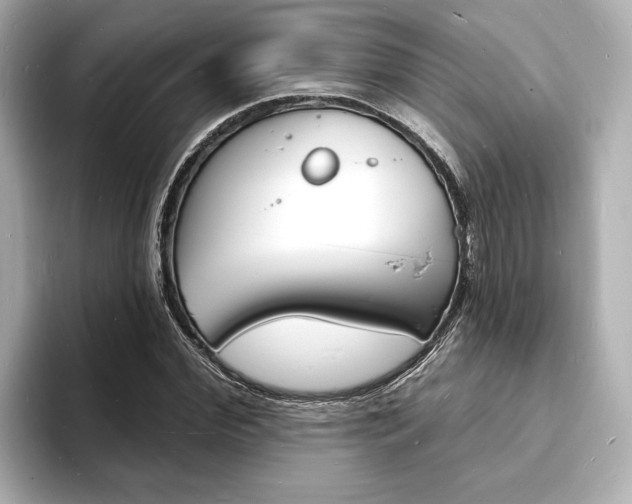 X0000093600972200710150955