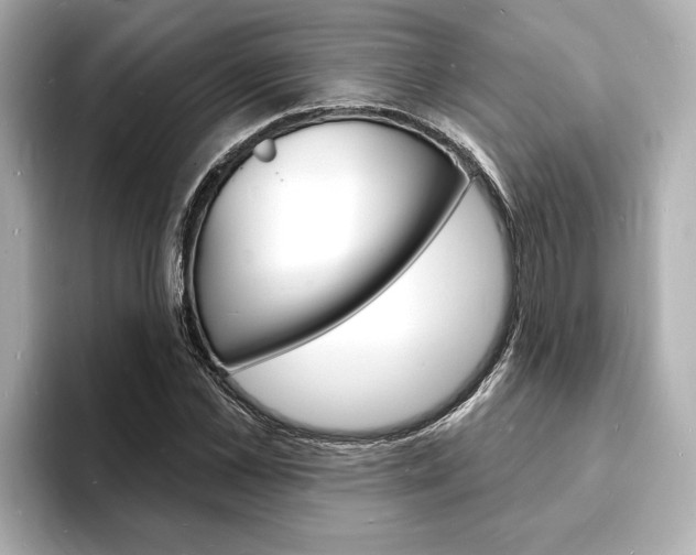 X0000093600973200710150955