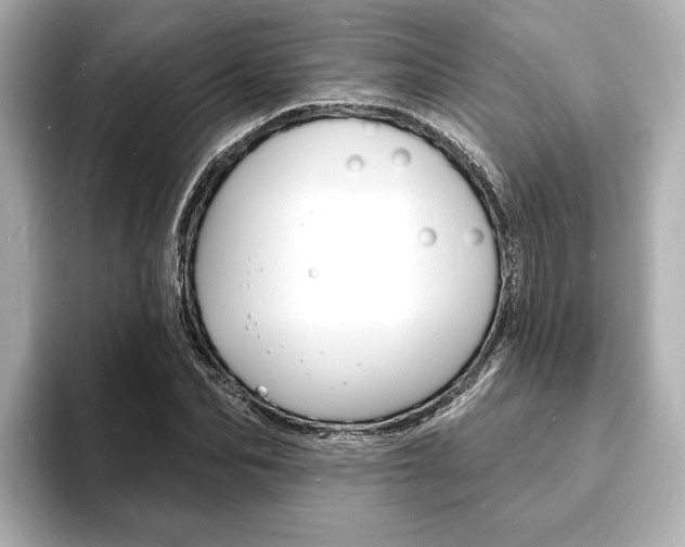 X0000093600974200710150955