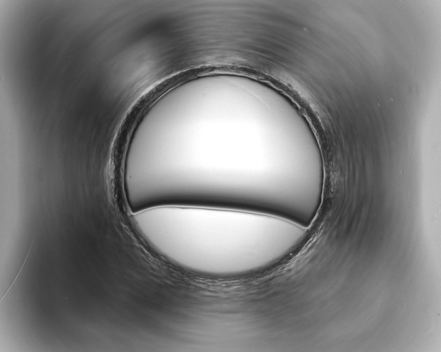 X0000093600975200710150955
