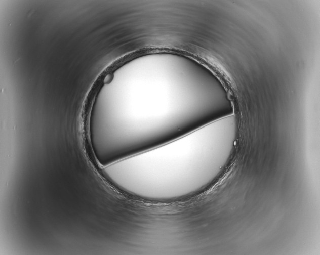 X0000093600976200710150955