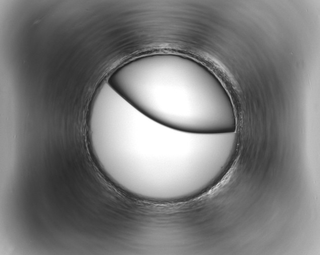 X0000093600977200710150955