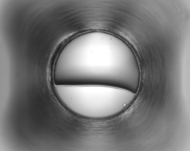 X0000093600979200710150955