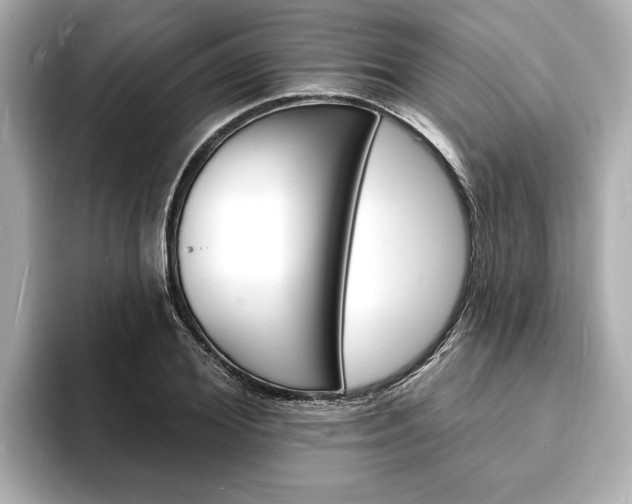 X0000093600980200710150955