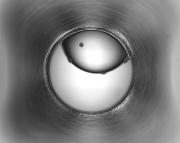 X0000093600981200710150955