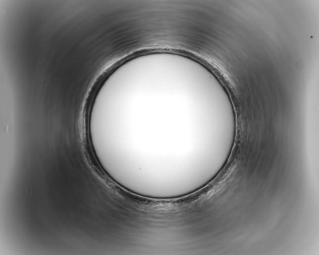 X0000093600982200710150955
