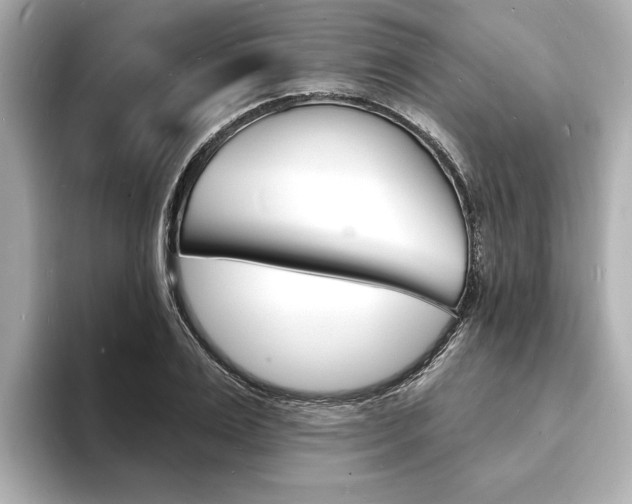 X0000093600983200710150955