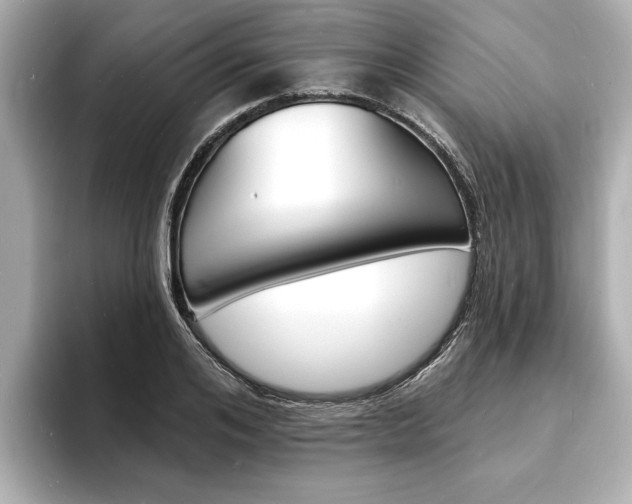 X0000093600984200710150955