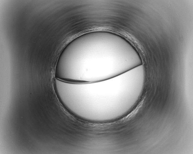 X0000093600985200710150954