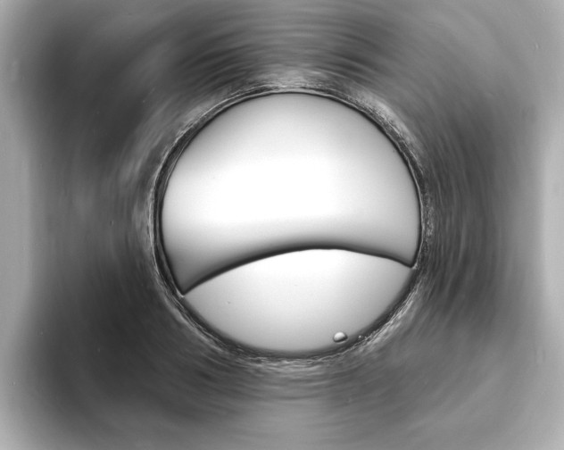 X0000093600986200710150954