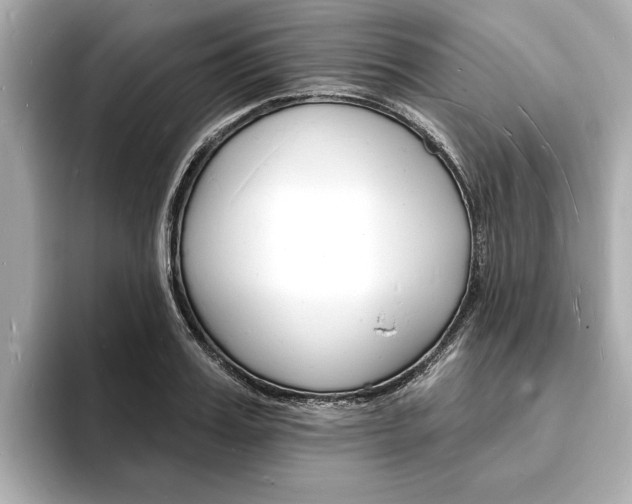 X0000093600987200710150954