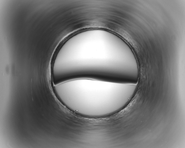 X0000093600988200710150954
