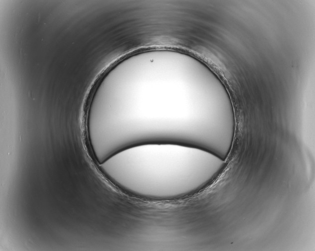 X0000093600990200710150954