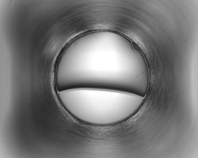 X0000093600992200710150954