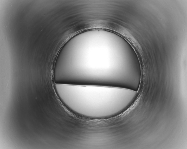 X0000093600993200710150954