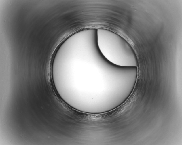 X0000093600994200710150954