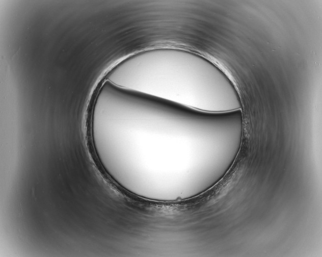 X0000093600995200710150954