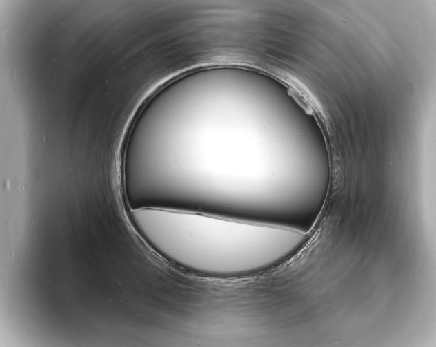 X0000093600996200710150954