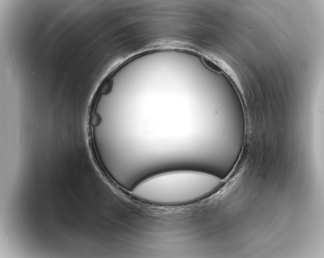 X0000093600997200710150954