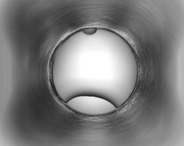 X0000093600998200710150954