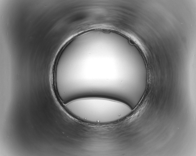 X0000093600999200710150954